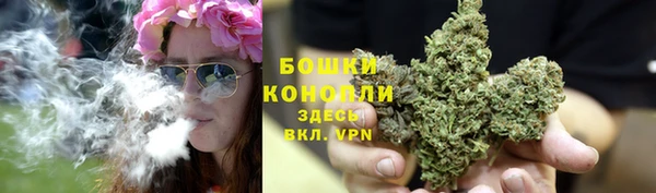 дживик Баксан