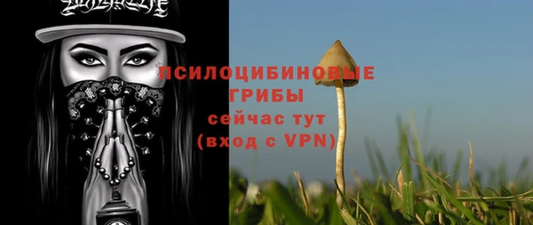 дживик Балахна