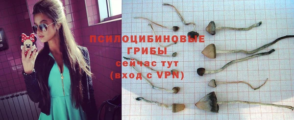 дмт Балабаново