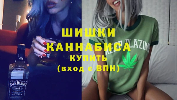 дживик Баксан