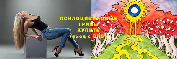 дживик Балахна